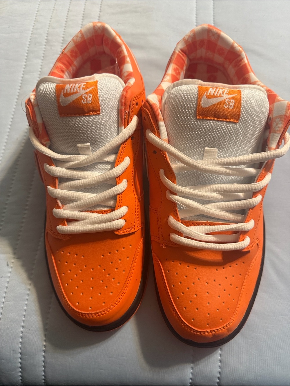 Nike Dunk Orange Lobsters